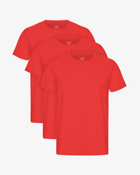 Red Tangerine (3-Pack)