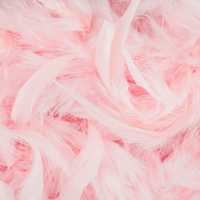 Flamingo Pink