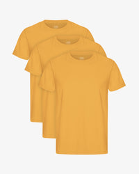 Burned Yellow (3-Pack)