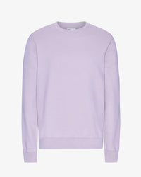 Soft Lavender