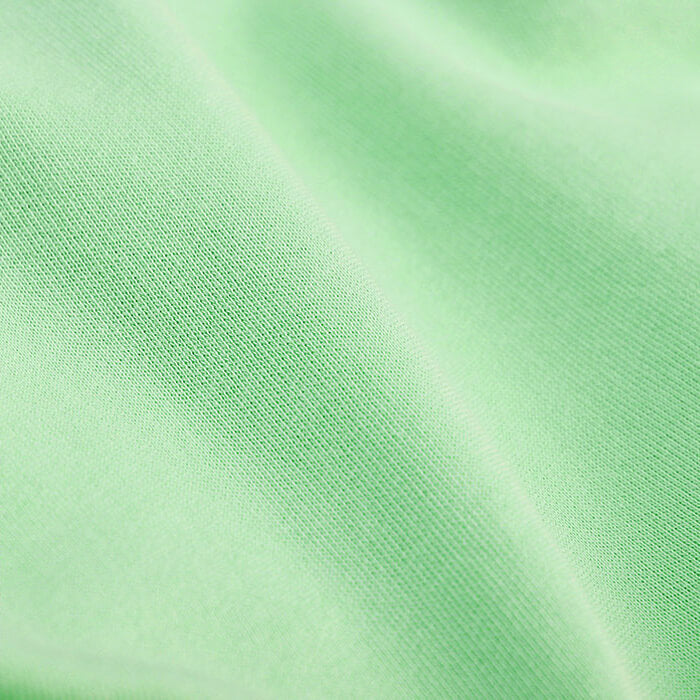 Faded Mint