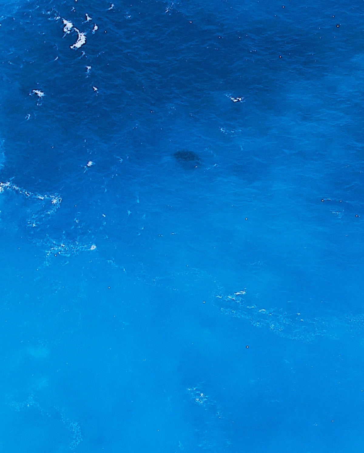 Pacific Blue