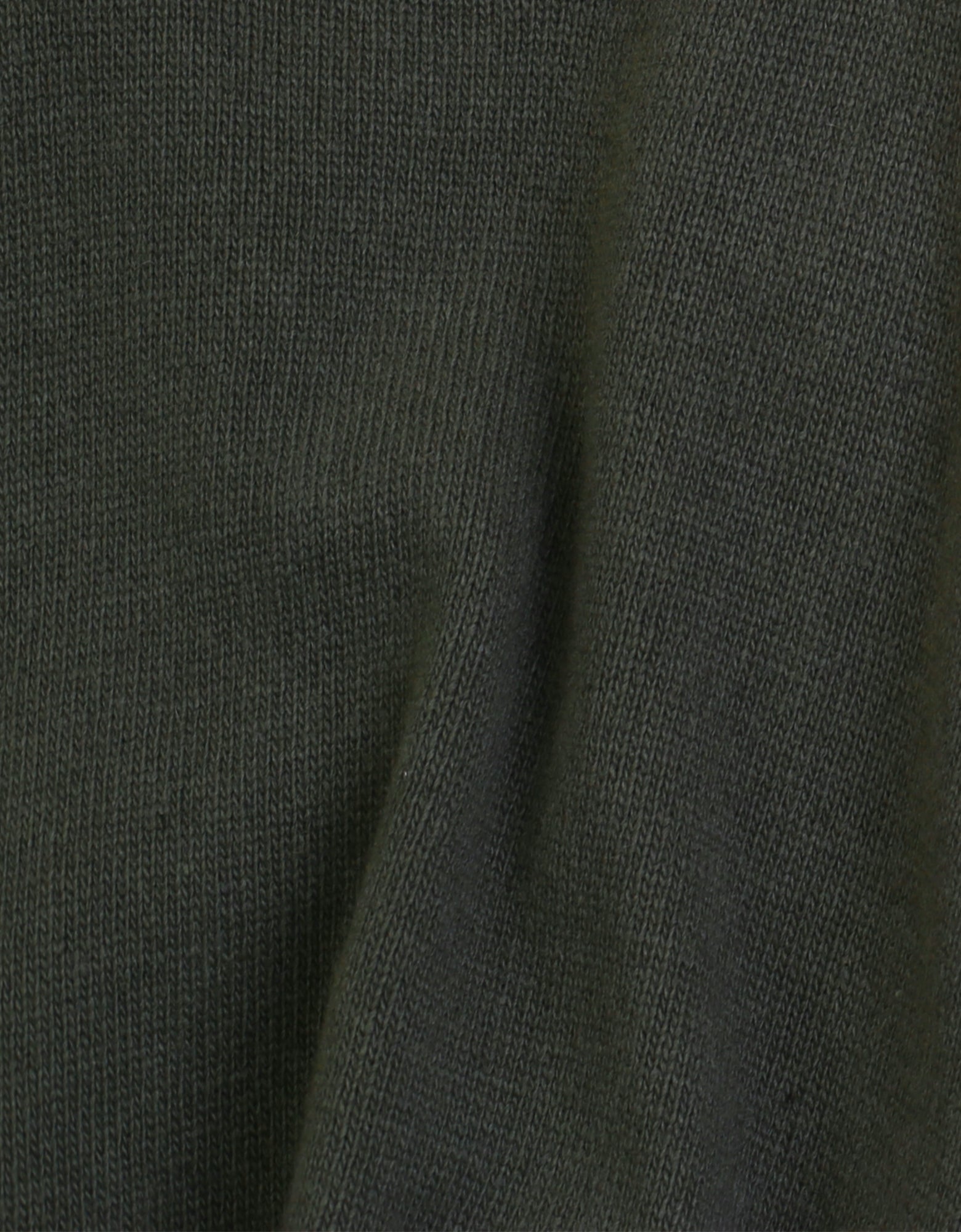 Colorful Standard Light Merino Wool Crew Merino Crewneck Light Emerald Green
